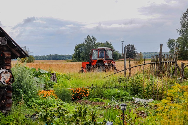 Historia Budziszewka